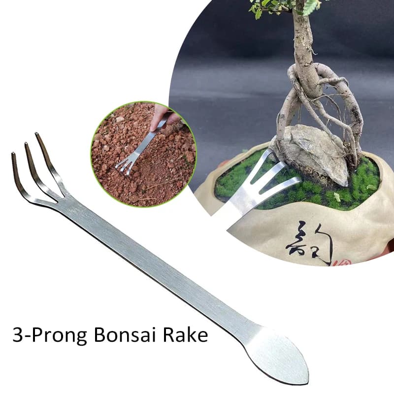 Rastrello per radici in acciaio inossidabile Strumento per allentare il terreno a 3 poli Bonsai portatile Piante in vaso Rastrello antiruggine Strumento di giardinaggio domestico