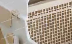 Lettiera per Gatti Extra Large Semi-Automatica, Toilette Chiusa per Gatti