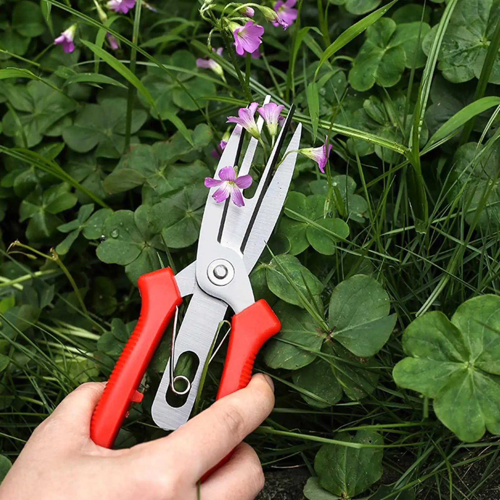 Forbici da Potatura in Acciaio Inossidabile, Cesoie Affilate per Rami, Trimmer da Giardino Resistente per Alberi, Fiori, Arbusti, Rose, Bonsai