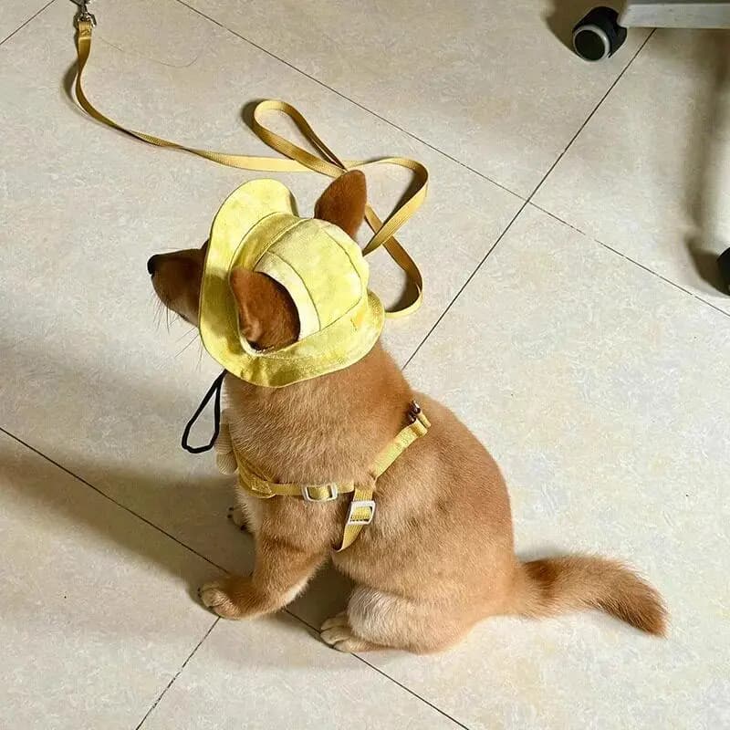 Cappello Estivo per Gatti, Simpatico Cappello da Pescatore per Gattini, Protezione UV