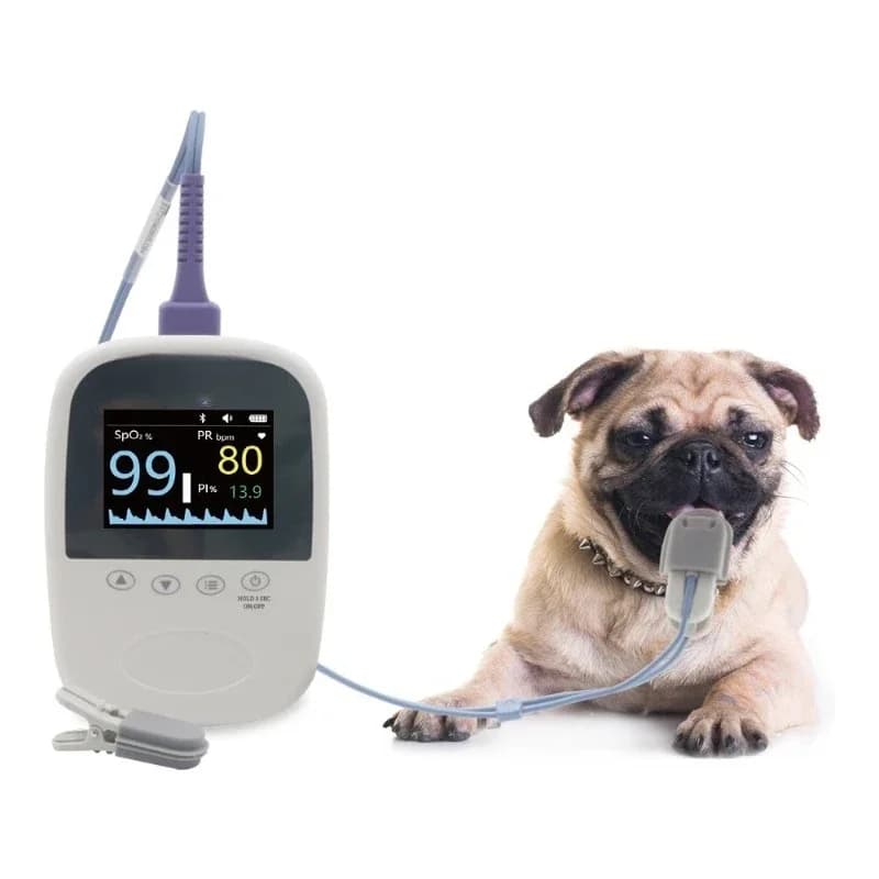 BM1000A-I Veterinary Medical Bluetooth App Free Pulsossimeter Medical equipment for pets