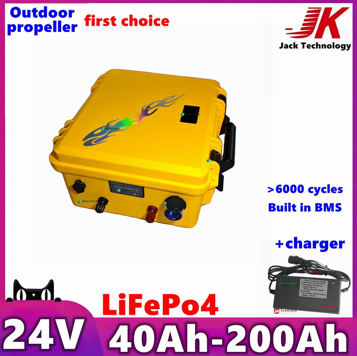 Batteria al litio LiFePO4 24V 100Ah 40Ah 50Ah 60Ah 80Ah 120Ah 150Ah 180Ah 200Ah per pannello solare, motore da traina, elica per esterni