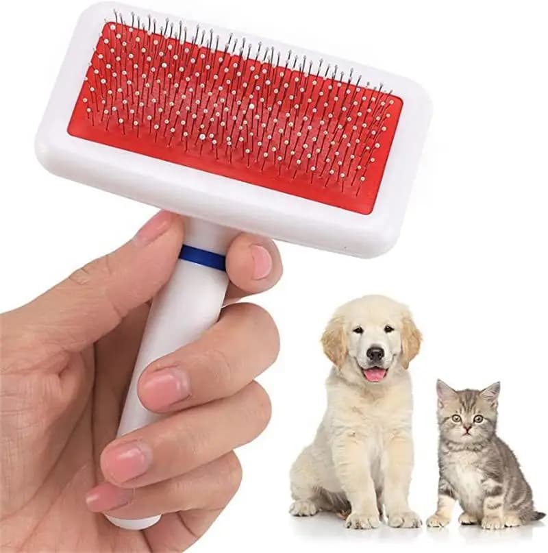 100 Pezzi Pettine per Cani Spazzola per Cuccioli Toelettatura Gatti Pettine Morbido per Cani Strumenti di Pulizia Rapida