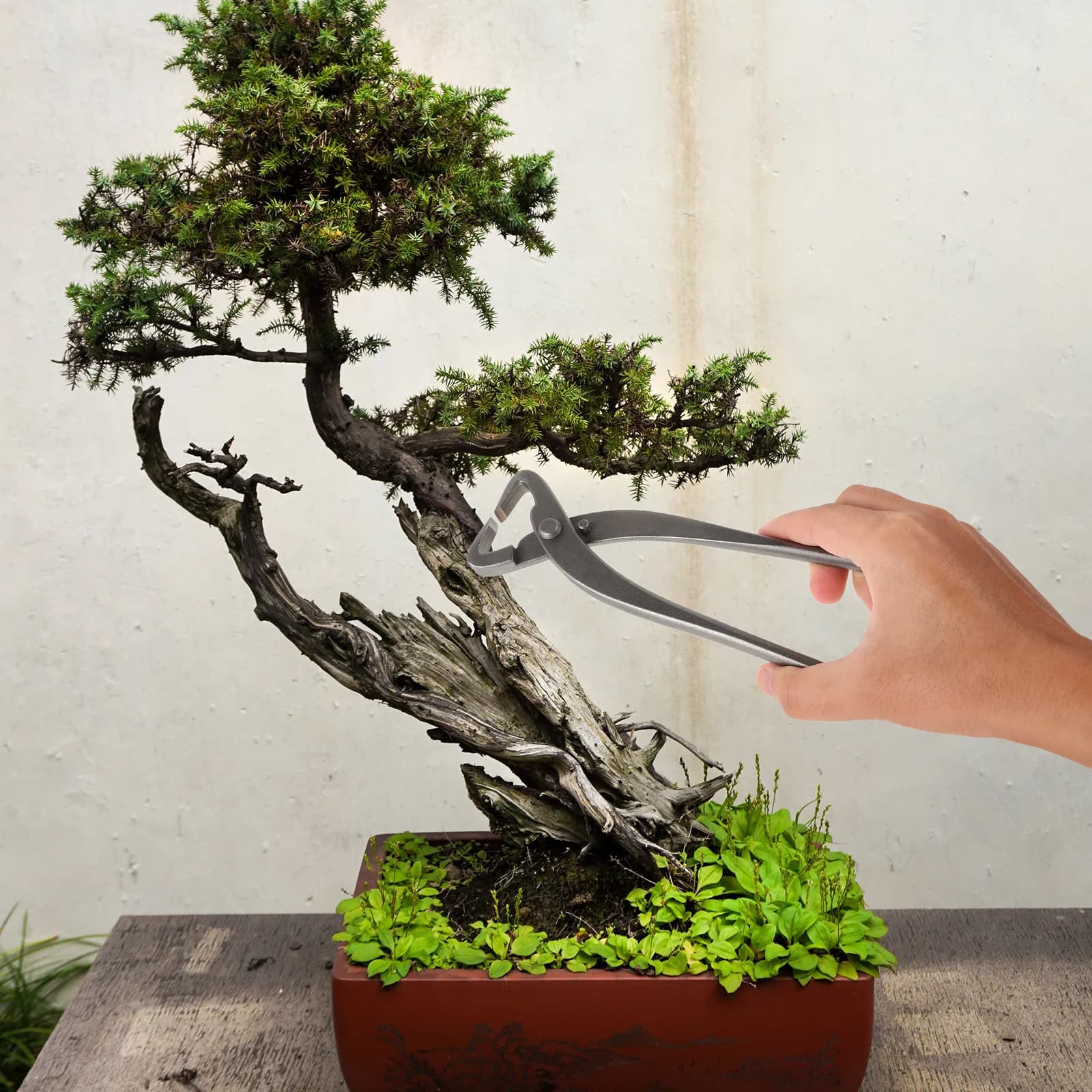 Heavy Duty Bonsai Branch Splitter and Shear Combo Rugged Plant Trimming Tools for Long Term Use Garden Shaping Equipment