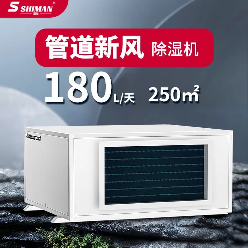 Duct Ceiling Mount Fresh Air Industrial Dehumidifier Wall‑Mount Ventilation Dryer For Villa Basement Commercial Use