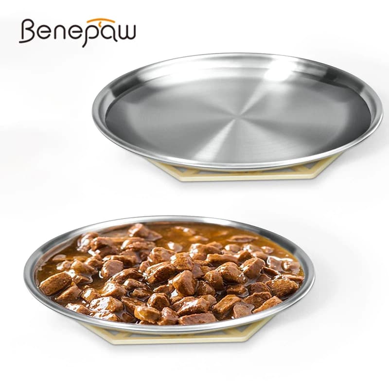 Benepaw ciotola per gatti poco profonda in acciaio inossidabile durevole baffo Relief Pet Water Food piatti per gattini cani di taglia piccola e media