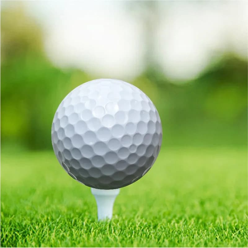 Pallina da Golf a Due Strati, Lunga Gittata e Alta Elasticità, Pallina da Gioco a Doppio Strato