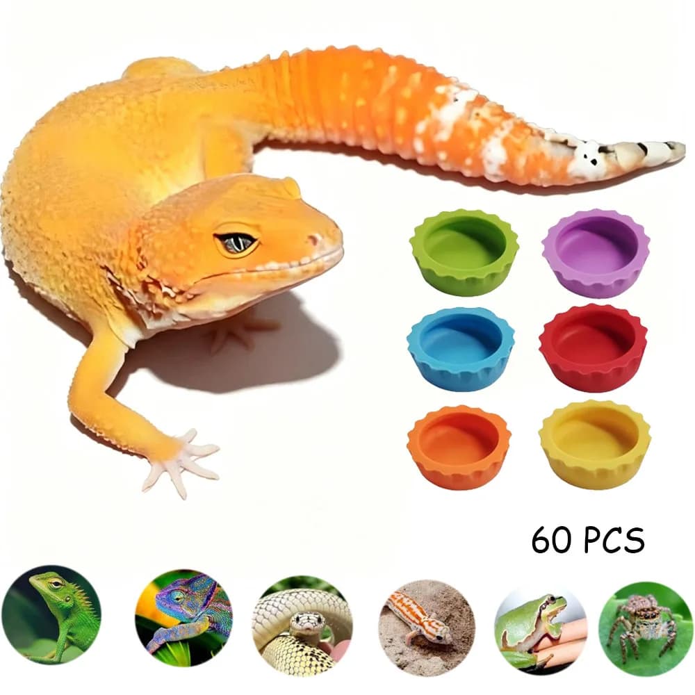 Reptile Feeding Bowl Silicone Food Water Bowl Colorful Gecko Feeding Dish Small Pet Feeding Cover Lizard Spider---60PCS