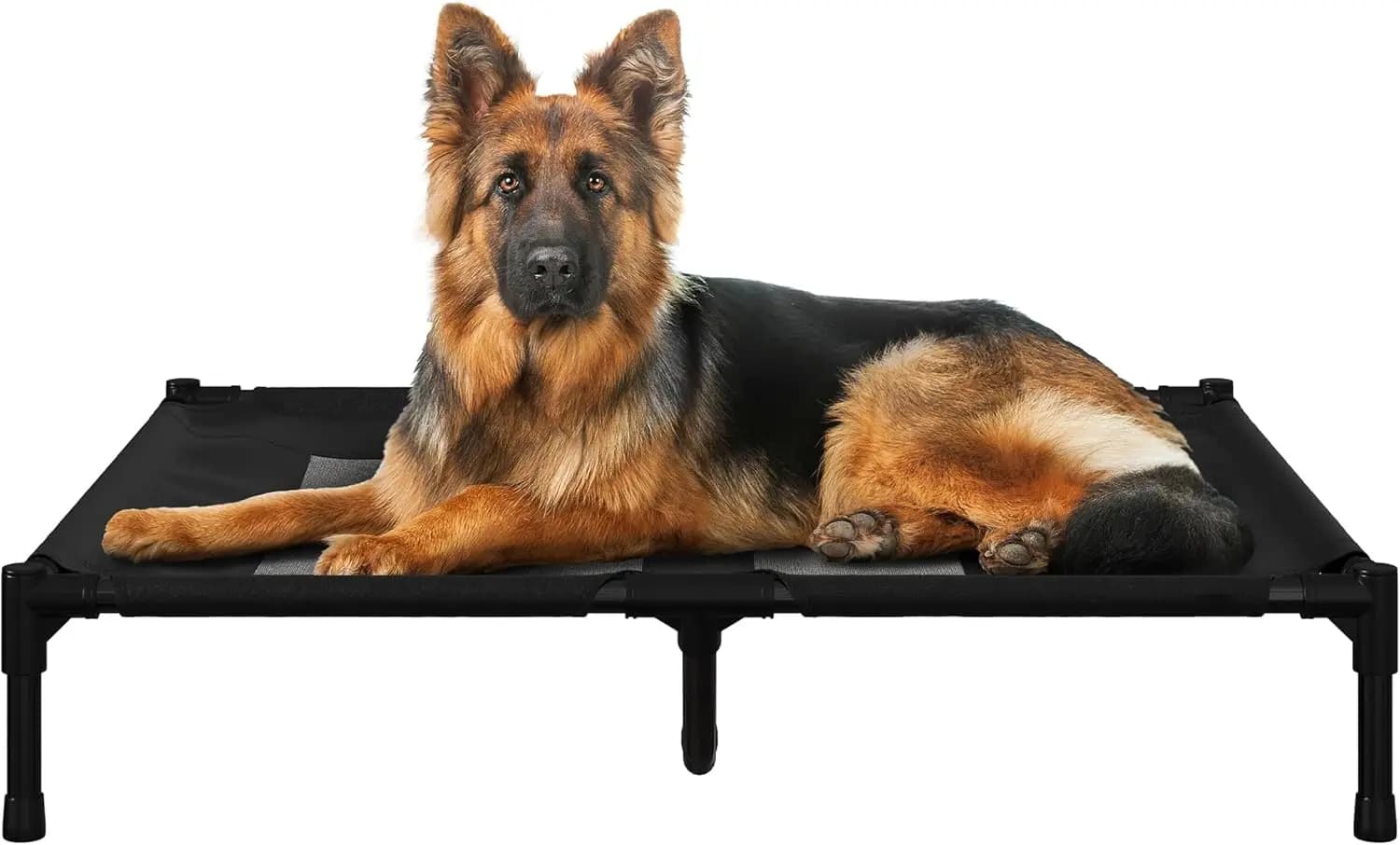 Cuccia Rialzata per Cani - Letto Portatile per Animali Domestici 36x30 Pollici con Piedini Antiscivolo - Cuccia da Interno/Esterno o Materasso per Cuccioli per Animali Domestici fino a [dimensione specifica, se applicabile]
