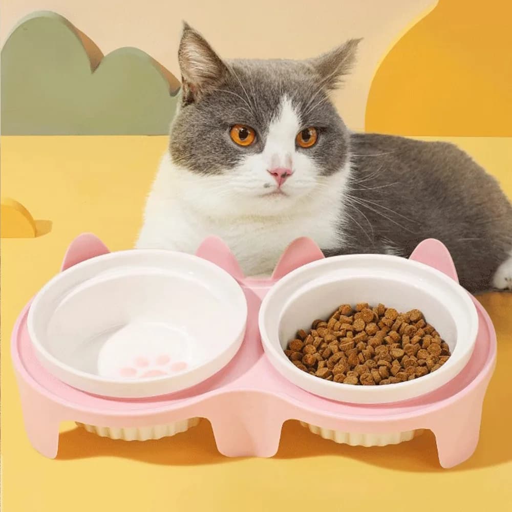 Ciotola per gatti in ceramica, ciotola per cibo per gatti ciotola doppia acqua potabile, bacino per cani, bocca obliqua per animali domestici per proteggere le vertebre cervicali