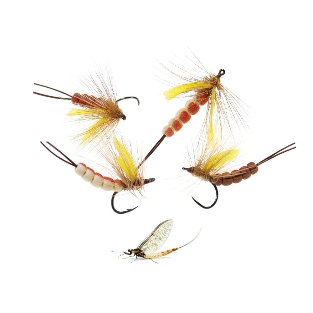 3 pezzi/6 pezzi # 8 # 10 Mosche Secche Artificiali Gialle con Coda in Schiuma per la Pesca alla Trota, con Amo Barbed/Barbless