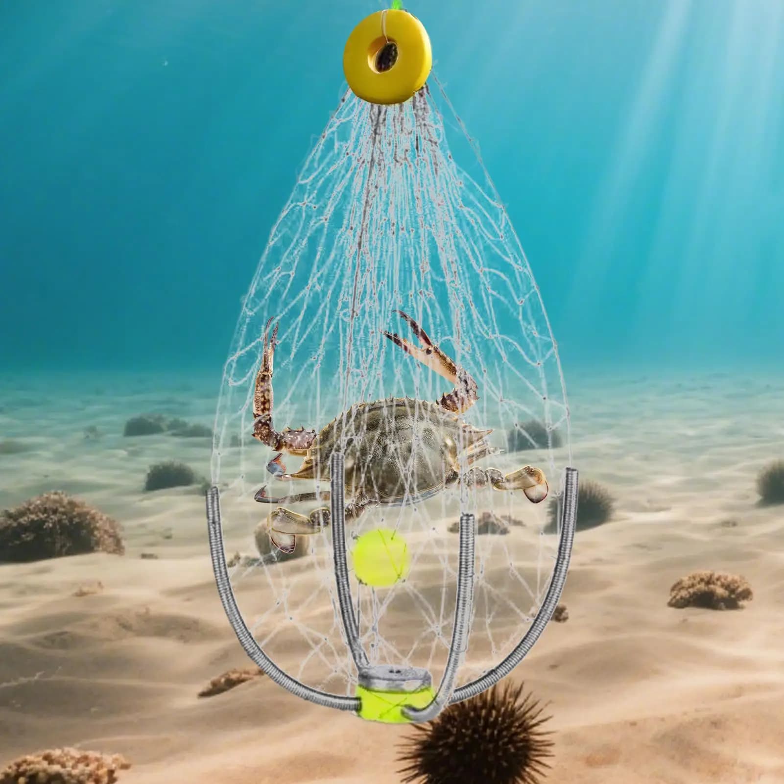 NUOVA Trappola per granchi automatica da pesca Design pieghevole Gabbia per rete da pesca Ampia copertura Gabbia per granchi supplementare con chiusura aperta automatica