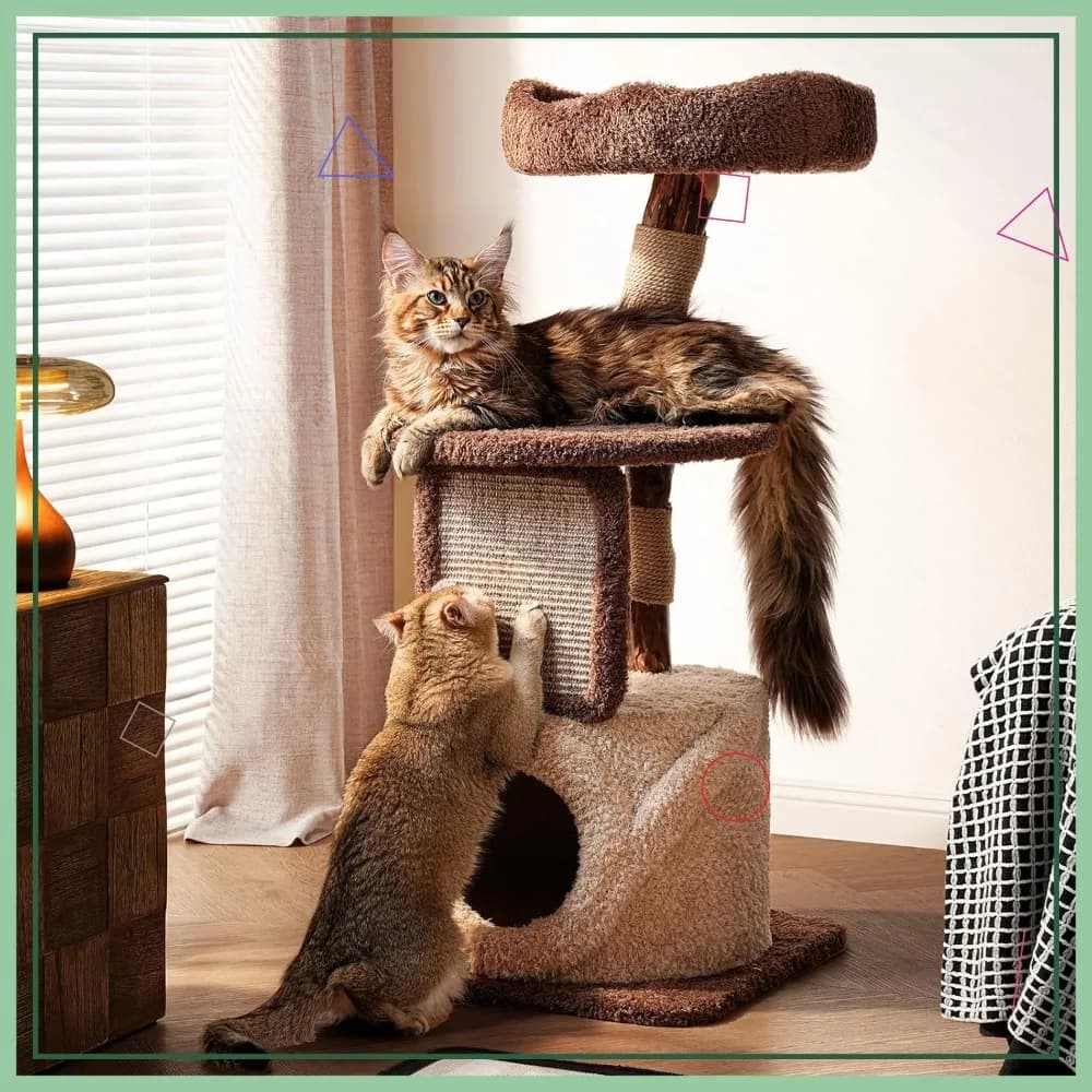 Albero per Gatti in Legno Massello da 40 Pollici per Gatti di Taglia Grande, Tiragraffi Multilivello Resistente con Cuccia Accogliente e Nascondiglio, Marrone