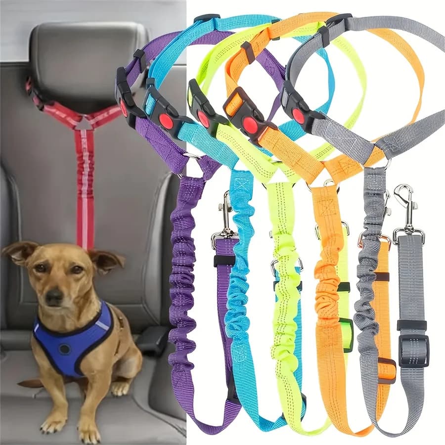 Elastic Retractable Seat Belt Dog Leash for Safe Hands-Free Walking