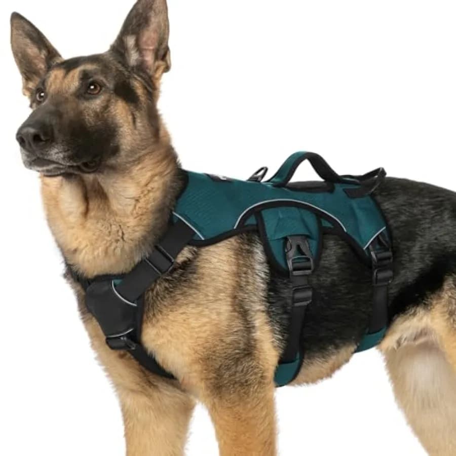 Pettorina Antifuga per Cani, Imbottita Morbida, a Corpo Intero, Riflettente, Regolabile, Anti-Trazione, con Maniglia di Sollevamento e Clip per Guinzaglio
