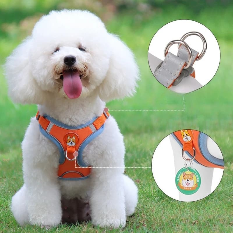 New Reflective Dog & Cat Harness and Leash Set, Comfortable Vest Style Walking Lead for Small Dogs, Outdoor Pet Harness