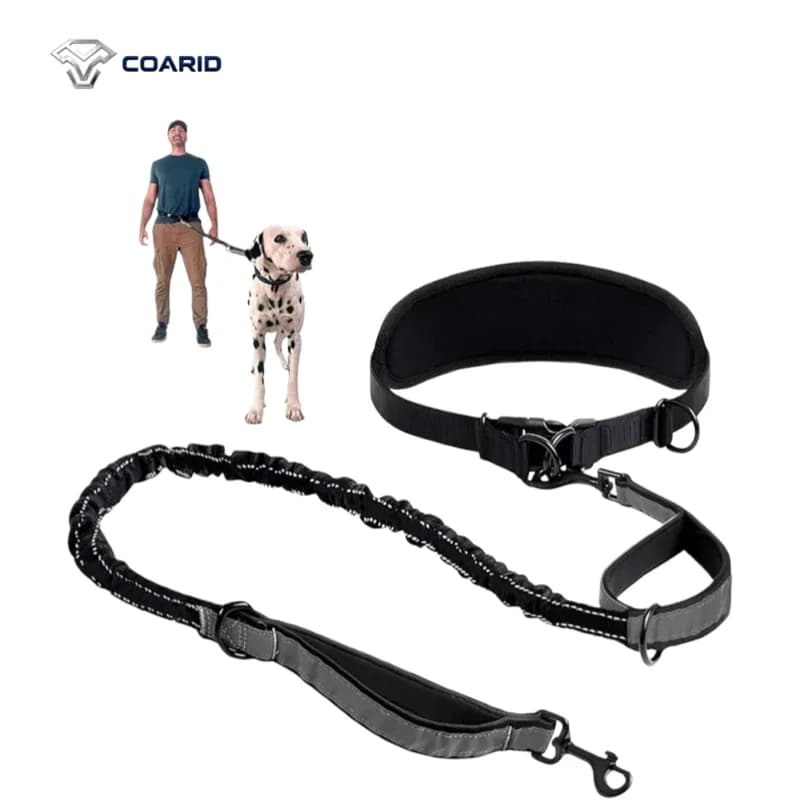 Reflective Elastic Sport Belt, Cycling Waist for Night Running, Adjustable Breathable Belt