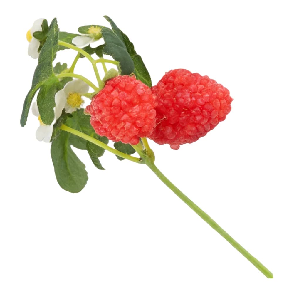 Artificial Red Strawberry Flowers With 2pcs Strawberries Simulation Plant Diy Flower Arrangement Art For Home Shop Garden Decor
