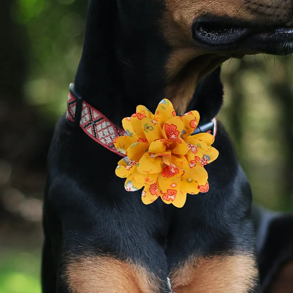 20 Pezzi di Delicati Ciondoli a Forma di Fiore per Collari di Cani e Gatti, Decorazione per Cuccioli, Motivi Vivaci e Brillanti, Look Nobile ed Elegante, Accessori per Toelettatura Cani