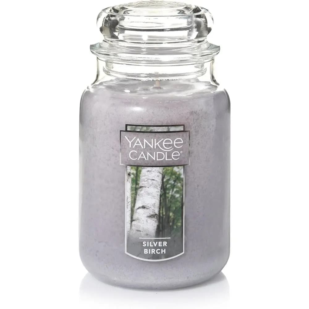 Aromatherapeutic Candle in 22-Once Glass Jar, Silver Birch Perfume, Combustion Time Over 110 Hours, Barattolo Style Pharmacy