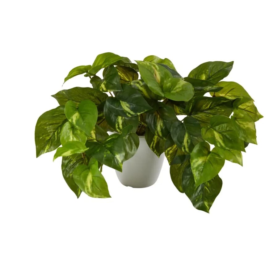 9in. Pothos Artificial Plant in White Planter Real Touch