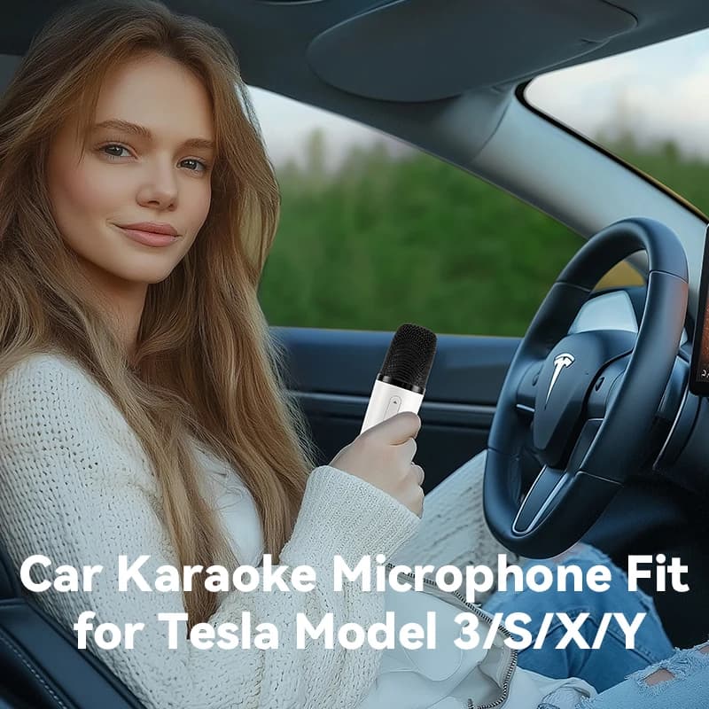 Microfono Tesla con custodia, microfono Bluetooth wireless ricaricabile con ricevitore USB-C e jack Aux, microfono per karaoke per auto con borsa