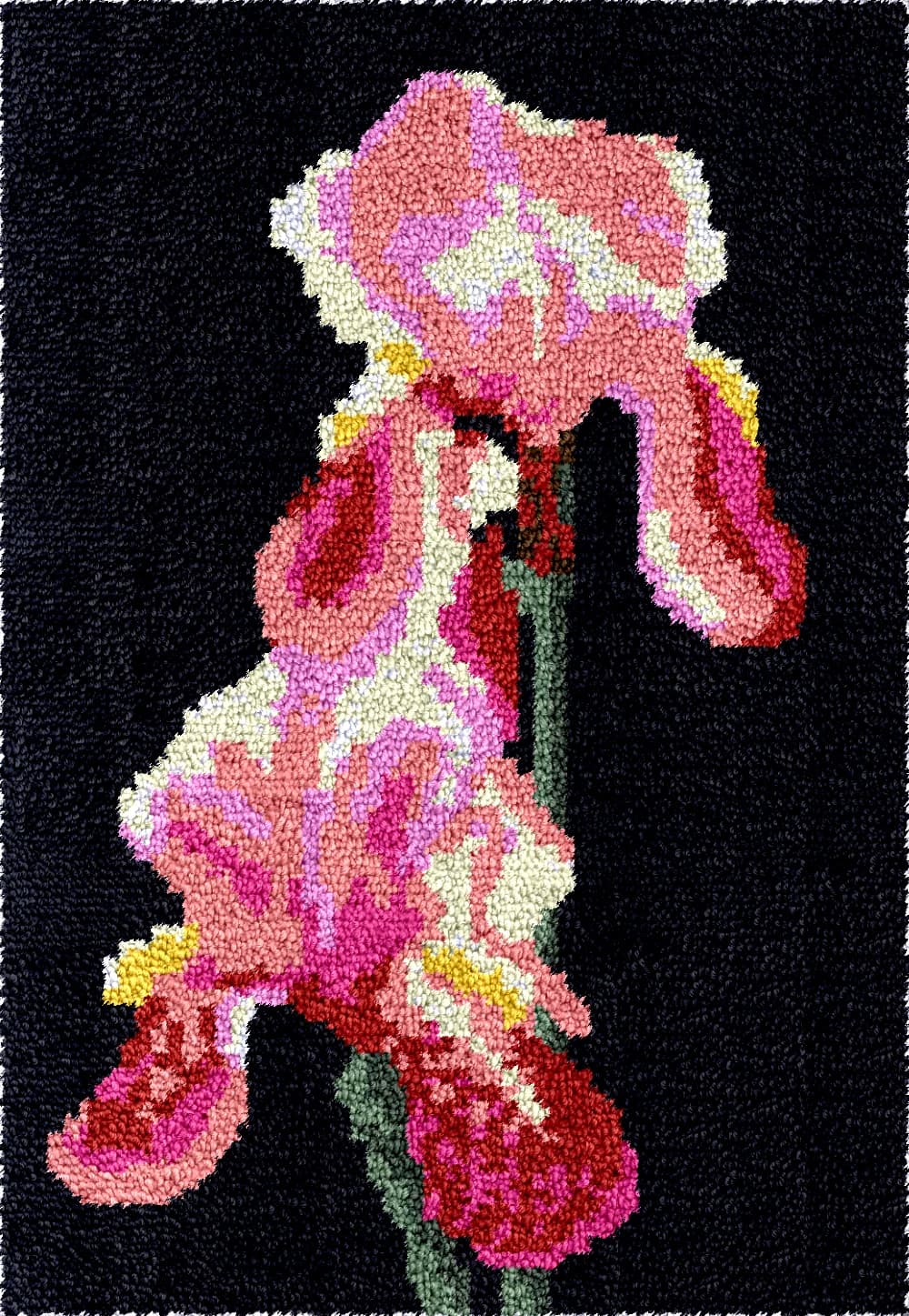 Kit per ricamo a maglia con gancio a uncino per tappeti, stampa su tela, con motivi di cigni e fiori, fai da te, fatto a mano, 55-75 cm