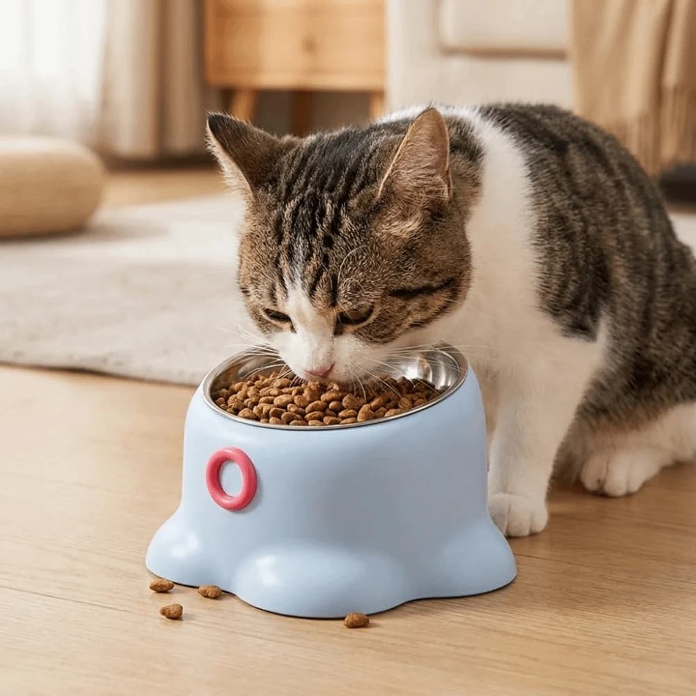 Anti-Slip Neck Protector Cat Bowls Elevated Design Tilted Mouth Dog Food Bowl Stable Anti-Tip Cat Water Bowl Pet Drinking