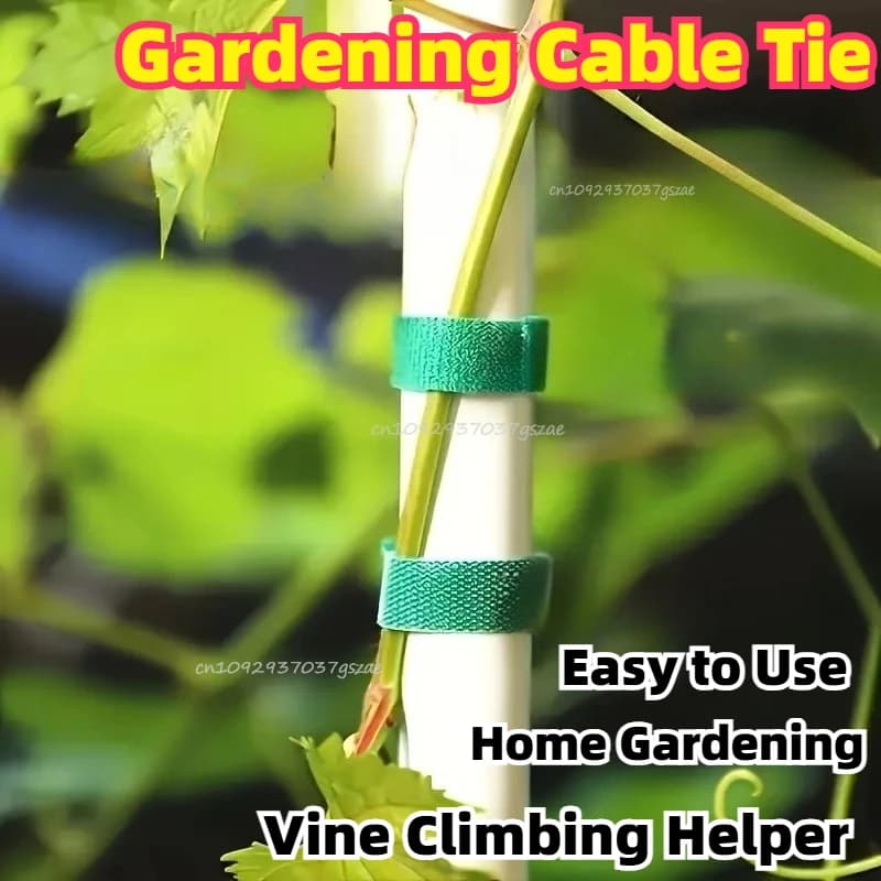 Bundable Wrap Plant Clips Support for Plants Plants Accessories Outdoor and Indoor Gardening Hook Loop Fastener Tape Strips