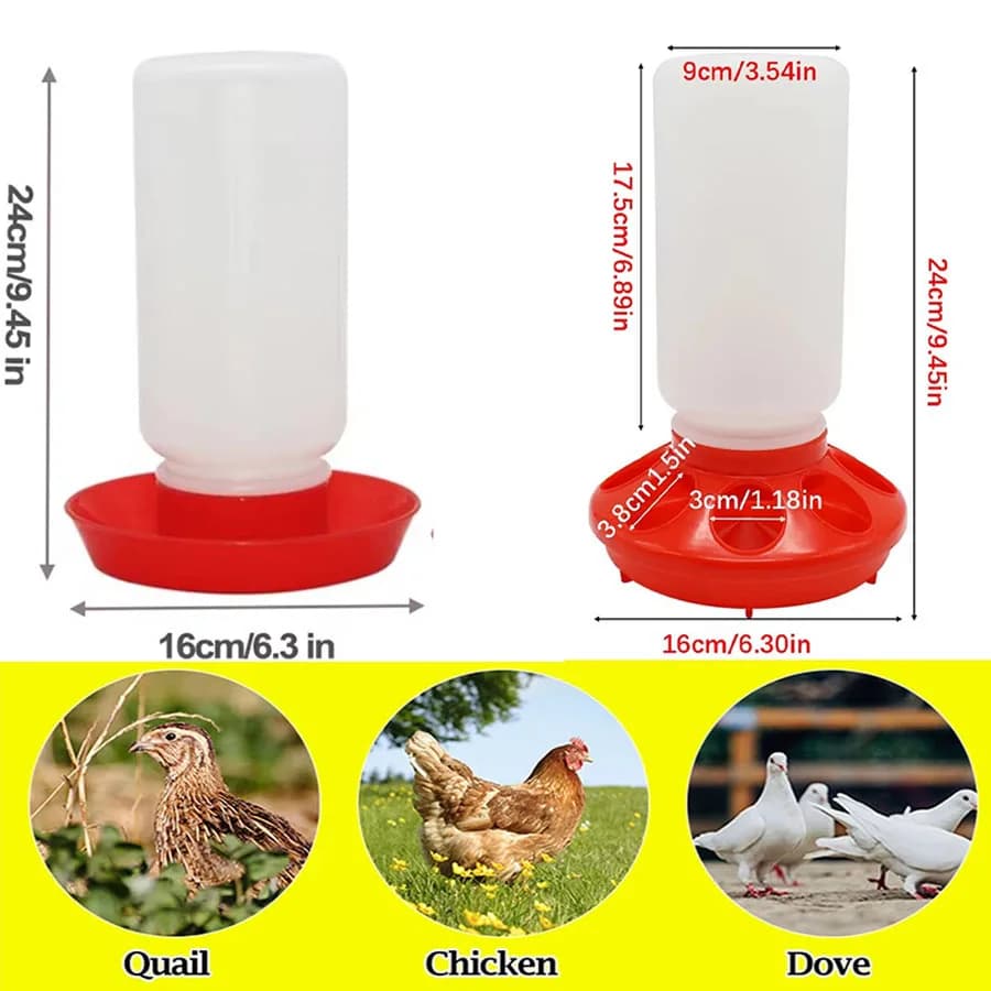 Set di 1 Alimentatore e Abbeveratoio Automatico Rinforzato per Polli e Uccelli, Contenitore per Acqua e Cibo