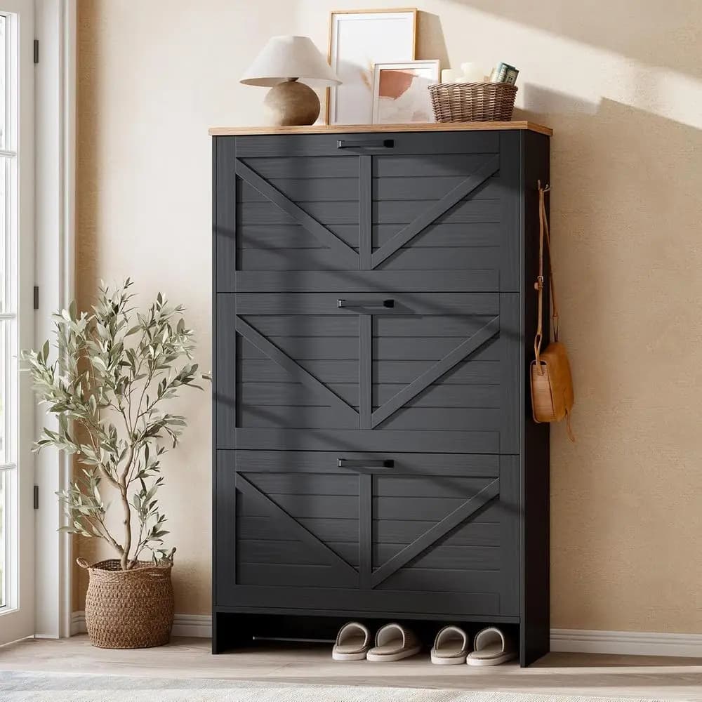 Modern Shoe Storage Cabinet with Adjustable Dividers, Slim Design, Brushed Black Finish