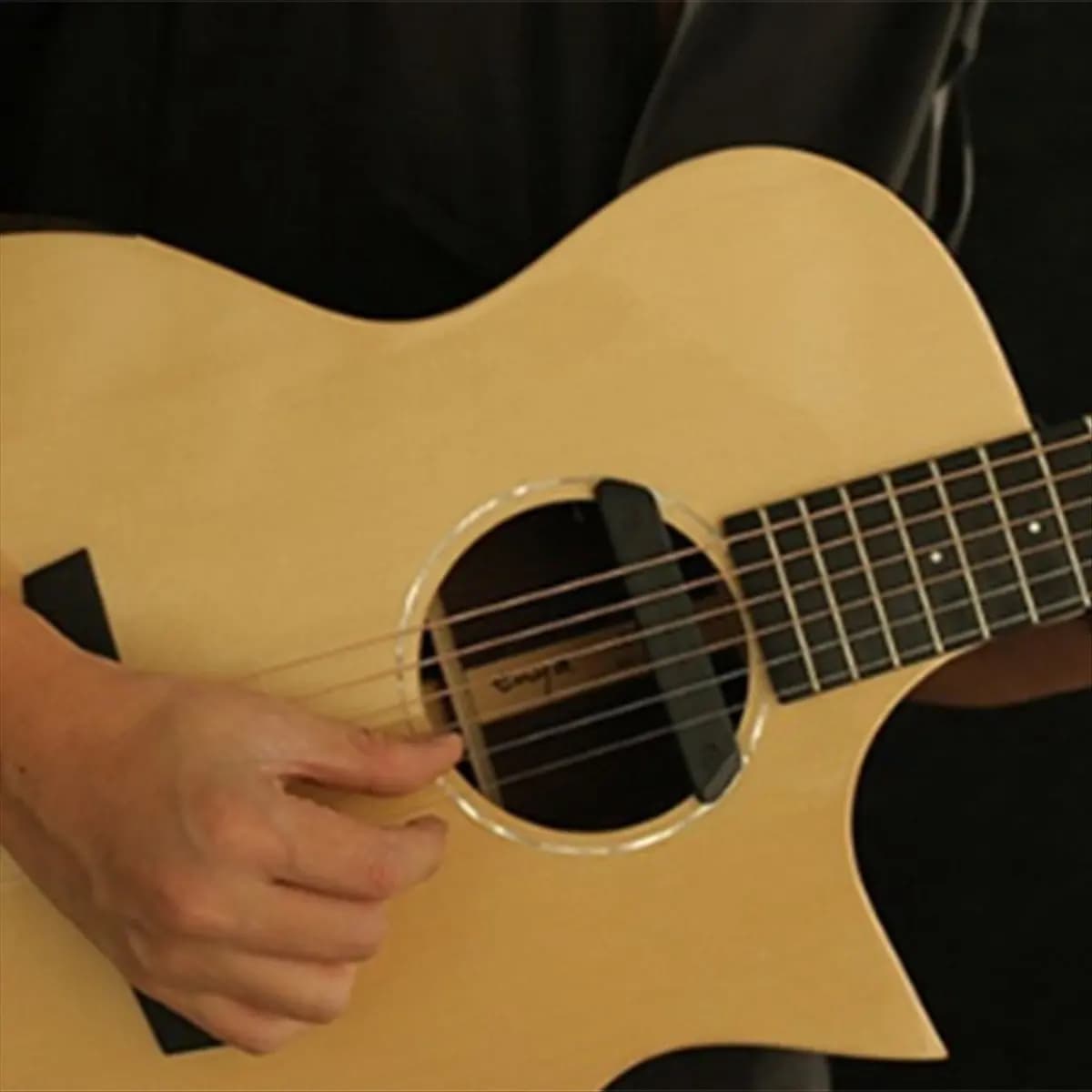 A61P DOUBLE Pickup per Chitarra Acustica, Preamplificatore Professionale, Pickup Magnetico per Foro di Risonanza