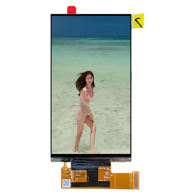 Interfaccia IC MIPI driver R63455 con risoluzione 2160x3840 da 5,5 pollici IPS 4k LCD per stampante 3D