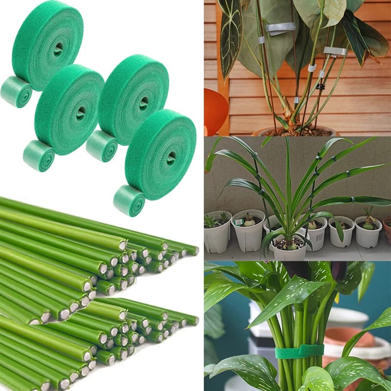 Fascetta per cavi in nylon per piante autoadesive Piante verdi regolabili Gancio ad anello Pali di fissaggio riutilizzabili Pali di supporto pieghevoli da giardino