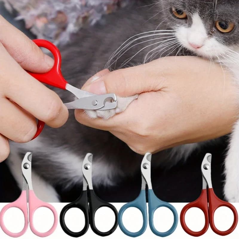 Professional Stainless Steel Cat Nail Scissors Pet Dog Nail Clippers Small Animal Toe Claw Trimmer Pet Grooming Pruning Gadgets