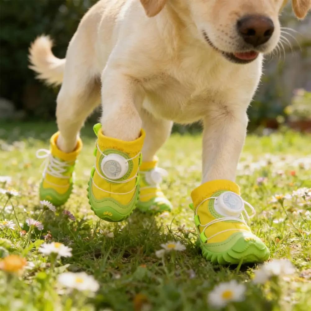2 Pezzi Scarpe Impermeabili per Cani Facili da Indossare, Suole Antiscivolo per Tutti i Terreni, Stivali per Animali Domestici con Regolazione a Quadrante per Cani di Piccola, Media e Grande Taglia, per Escursionismo