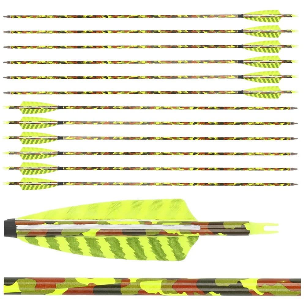 6/12 Pezzi Frecce in Carbonio SP500 con Alette da 4 Pollici, Diametro Interno 6,2mm, Punte da 100gr per Caccia con l'Arco e Tiro al Bersaglio