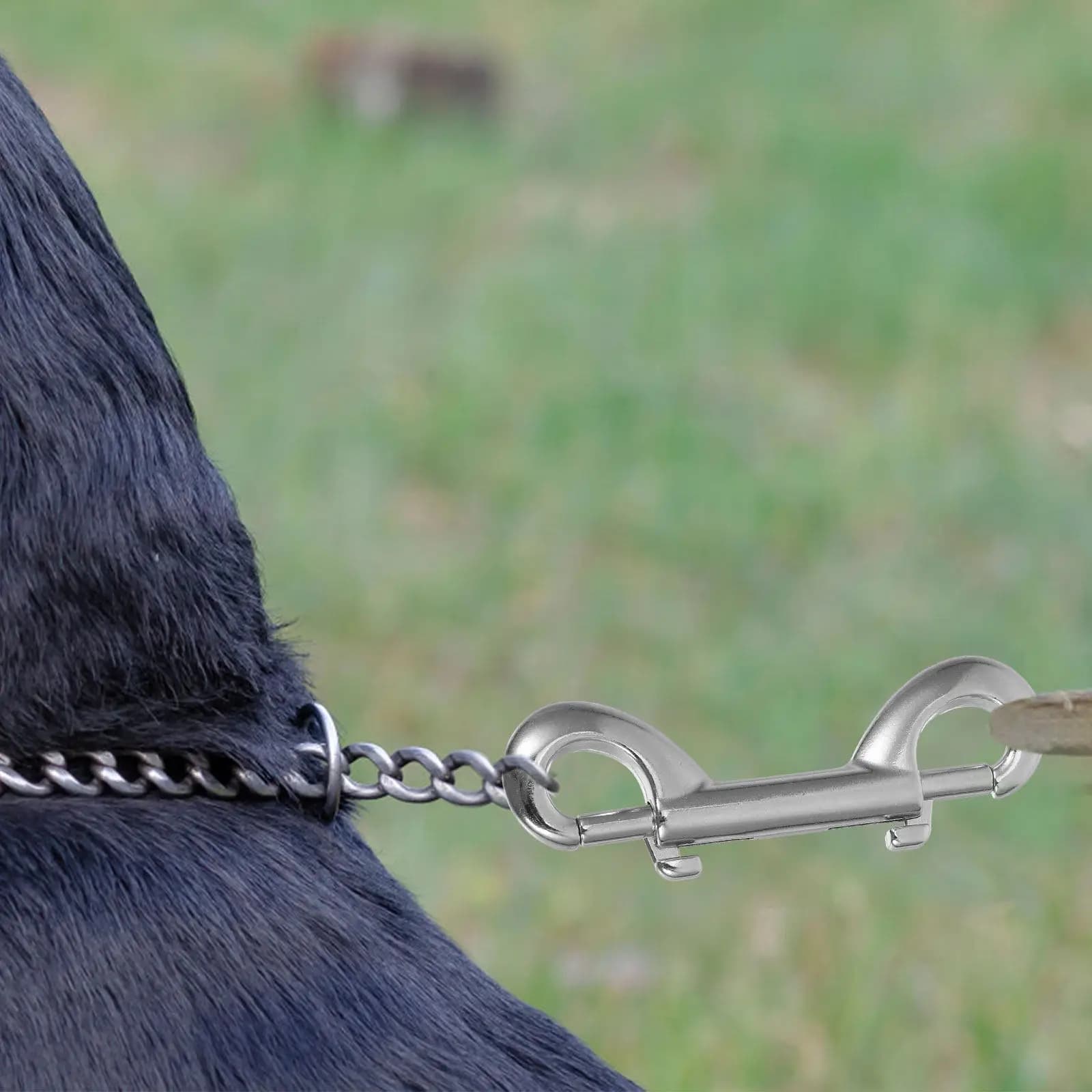10 Pezzi Moschettoni a Doppia Testa in Lega di Zinco, Clip a Sgancio Rapido per Guinzaglio per Cani, Secchio d'Acqua, Portachiavi, Corda