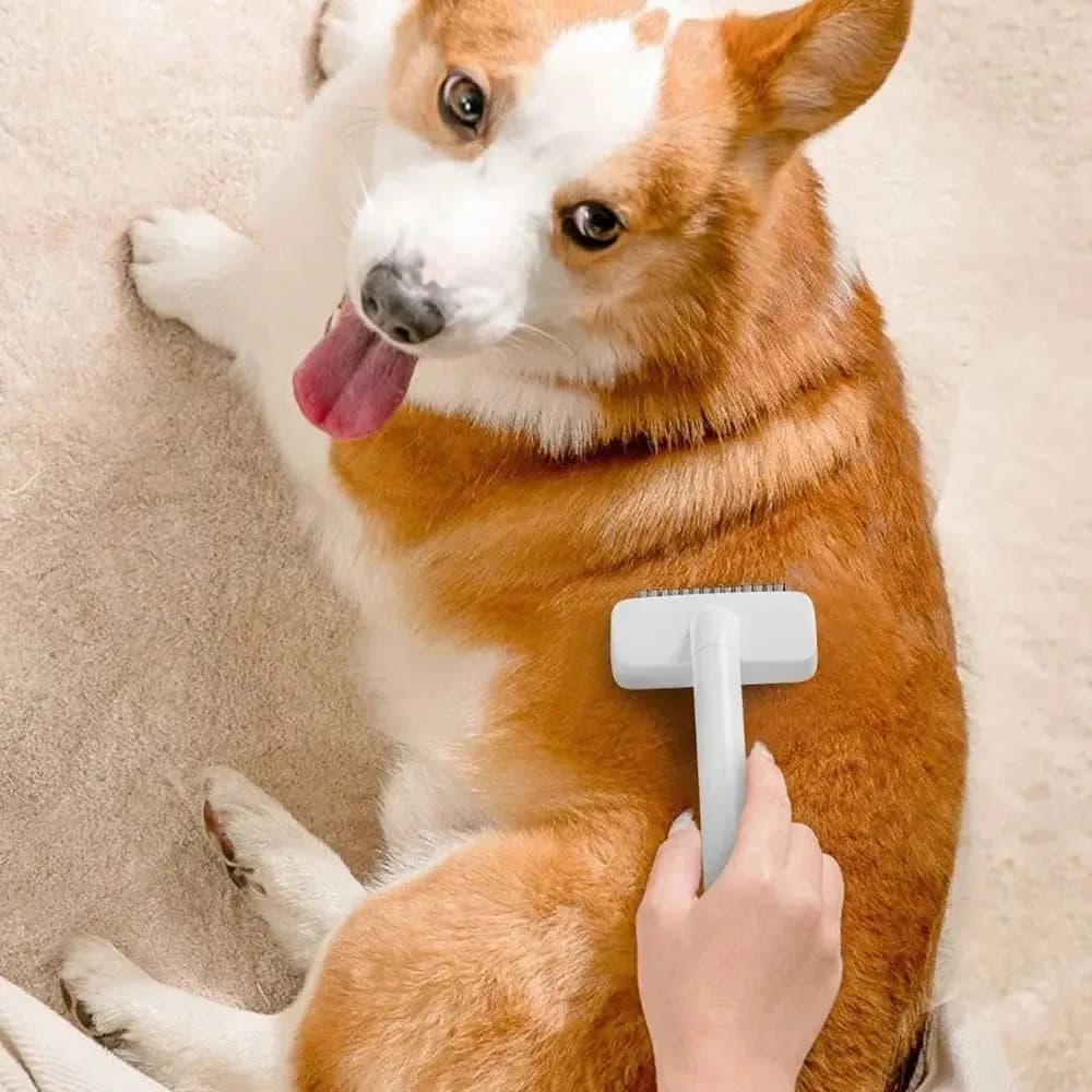 Spazzola per toelettatura cani e gatti con manico lungo, autopulente con un clic, per rimuovere peli, tappeti di pelo e grovigli, facile da usare