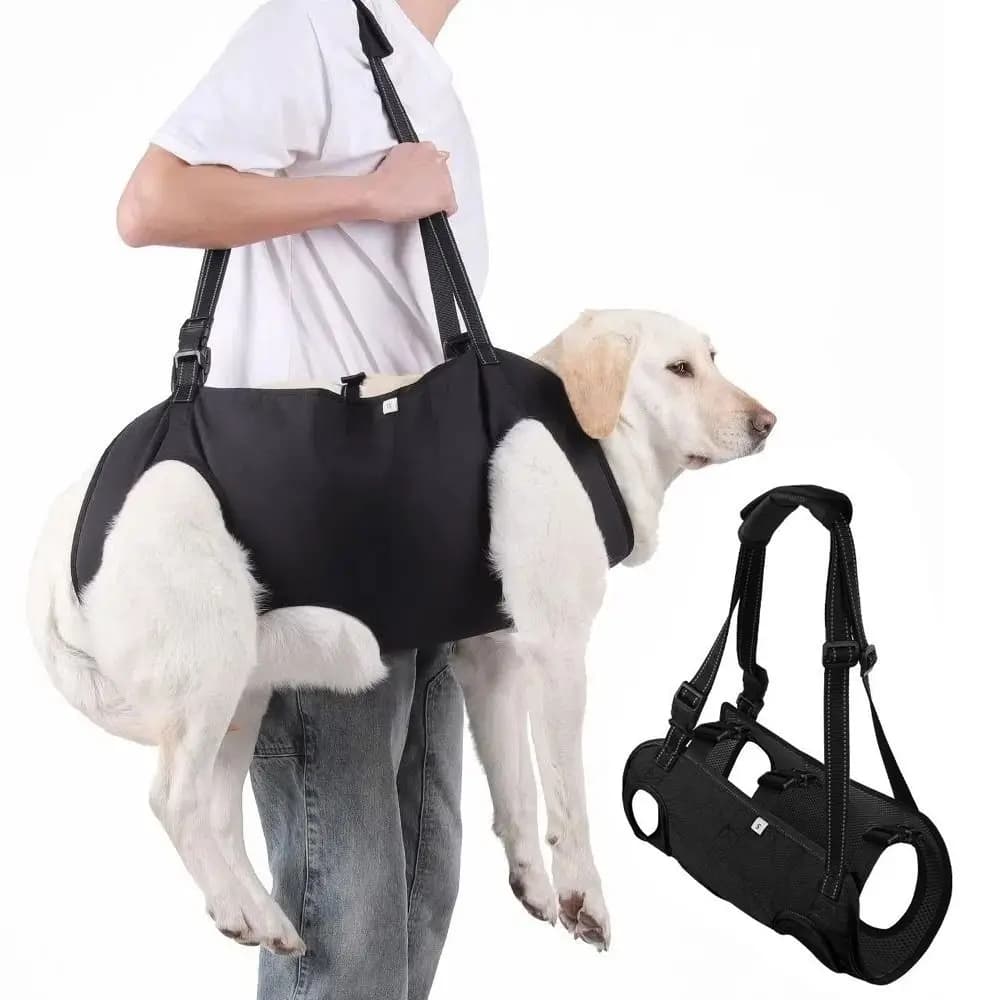 Imbracatura di Sollevamento per Cani con Cinghia Regolabile, Maniglia Rinforzata Portatile, Fodera Morbida, Supporto per Zampe, Gilet di Sollevamento per Anziani