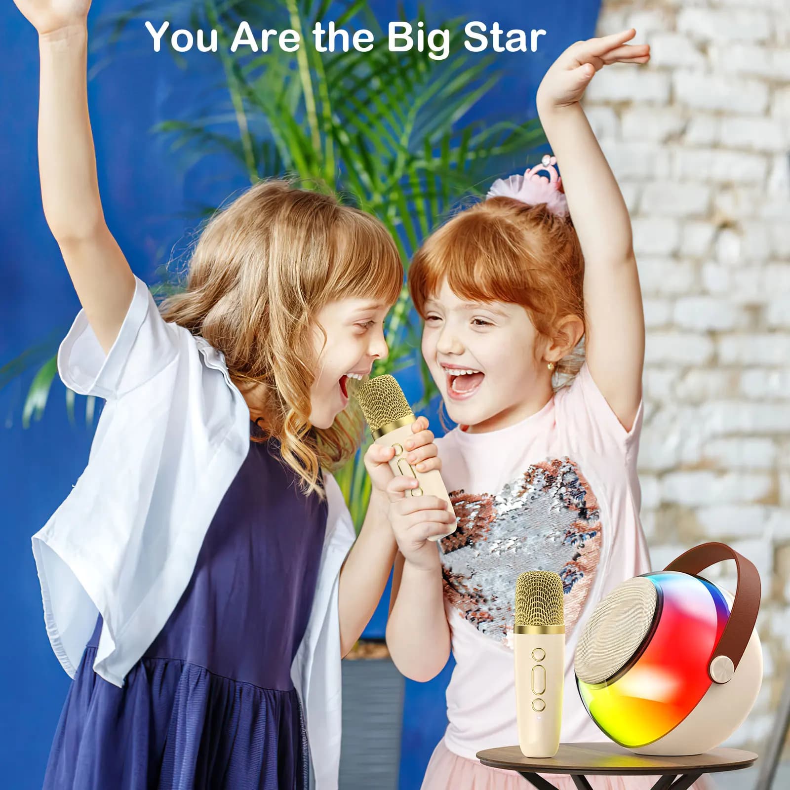 Portable Karaoke Machine with Bluetooth, 2 Wireless Microphones for Adults Kids Karaoke Speaker Birthday Gifts for Family Party