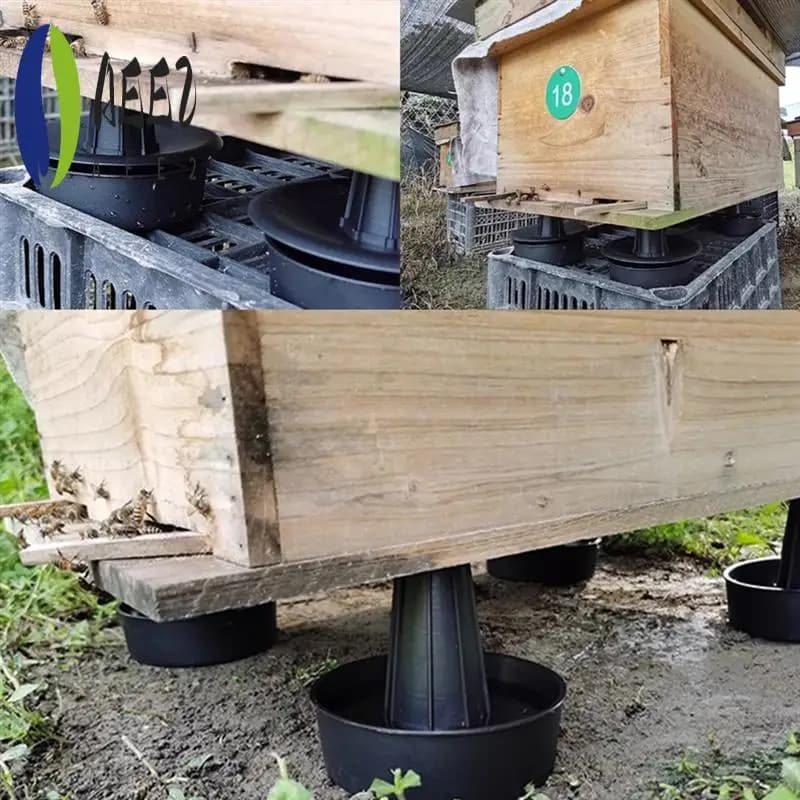 AEE2-1 Set di Alveare Anti-Formi Supporto Lavello Base Innalzamento Impermeabile a Prova di Insetti Supporto Alveare Strumenti di Apicoltura