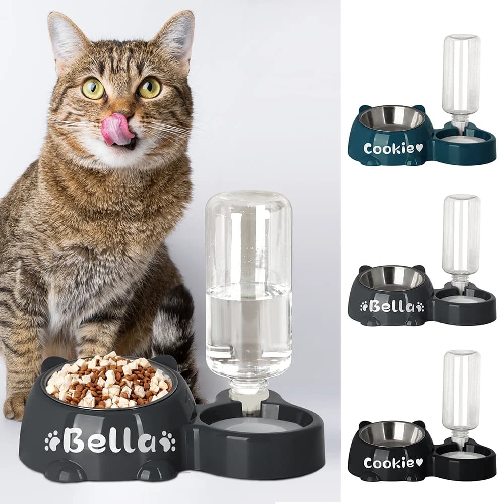 Ciotola per cibo per gatti personalizzata con distributore d'acqua Ciotole per gatti per cani 2 IN 1 Nome di stampa gratuito Tazza per alimentazione per animali Ciotole per gatti in acciaio inossidabile