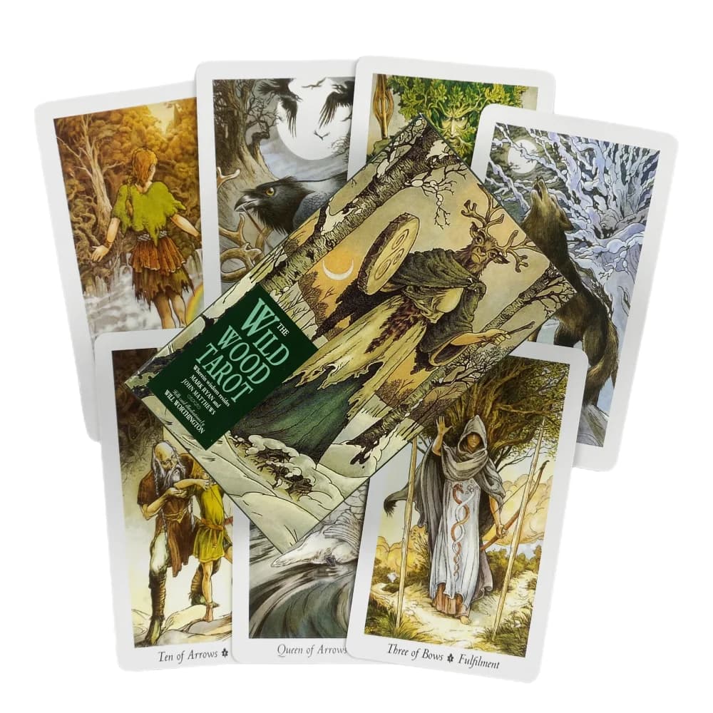 The Wild Wood Tarocchi A 78 Oracle English Visions Divination Edition Mazzo da tavolo Carte da gioco