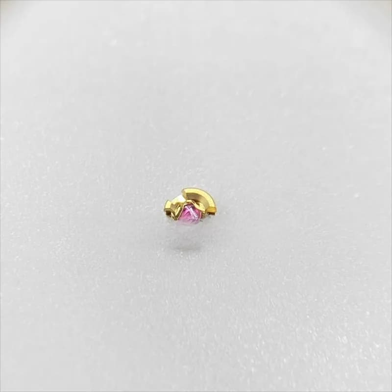 Le parti sono adatte per gli accessori del movimento dell'orologio, stecca del pendolo del movimento 3135 superiore dell'ammortizzatore della stecca del pendolo 3130