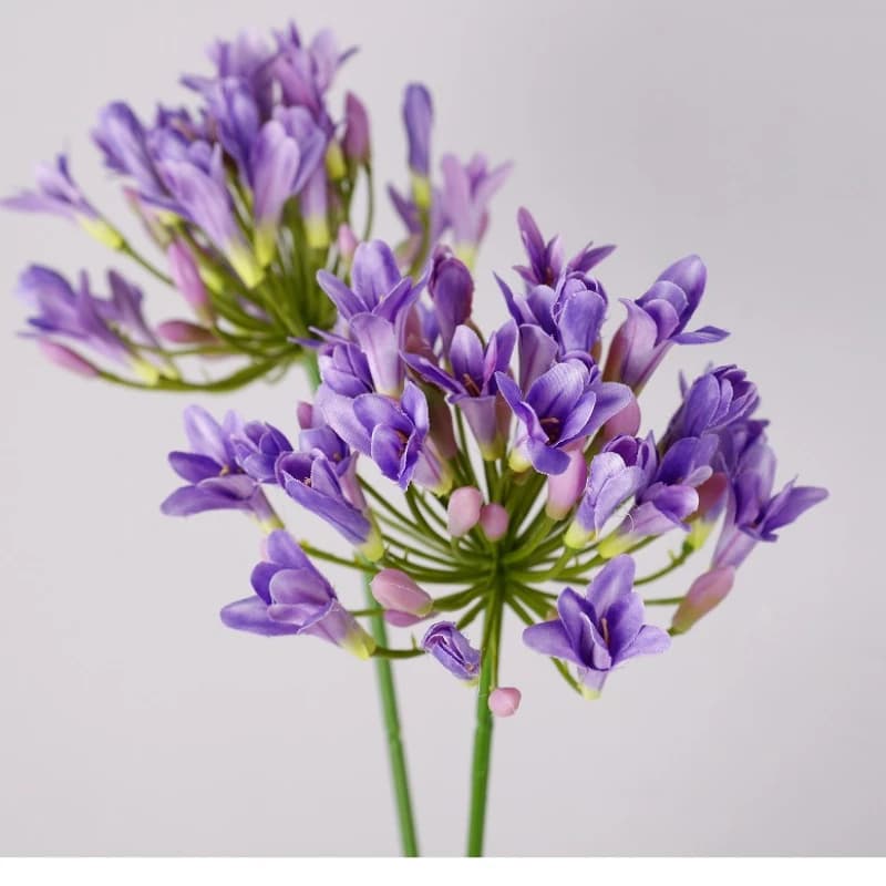 6pcs High-quality Artificial Agapanthus Silk Fake Flowers Home Foyer Decoration White Agapanthuses Simulation Flower Plant