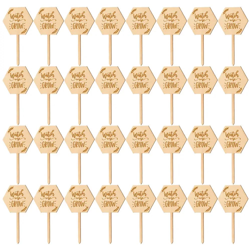 40 Etichette in Legno per Piante da Giardino, Marcatori Appuntiti per Piante in Vaso da Interno ed Esterno, Etichette per Piante Grasse, Targhette Identificative per Fiori