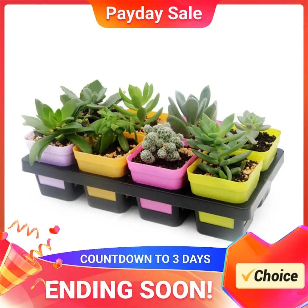 Plastic vase with 8 holes for oily plants, seed tray, gardening and nursery supplies