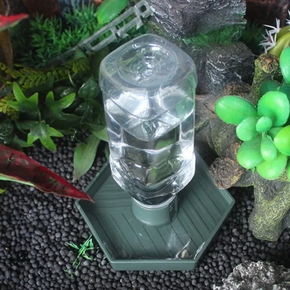 Ciotola Antiscivolo per Rettili, Contenitore Rimovibile in Plastica per Acqua e Cibo per Tartarughe e Lucertole