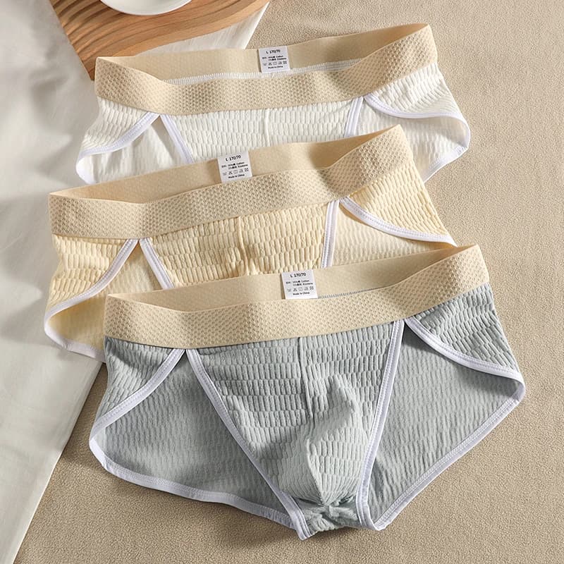 Men Small Triangle Underwear Pure Cotton High Cut Low Rise Briefs Breathable Skinny Sexy Male Lingerie